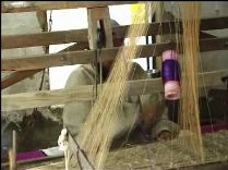 Weaving of Fabric Weaving of Fabric