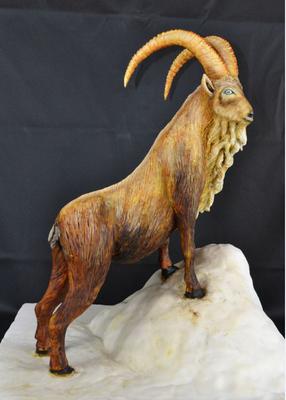 Markhoor (National Animal of Pakistan) by Anna Dillon