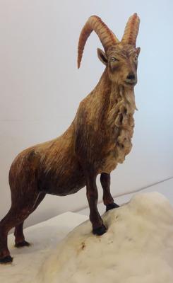 Markhoor by Anna Dillon