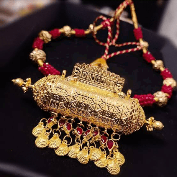 dholna-2-rev-opt dholna-2-rev-opt