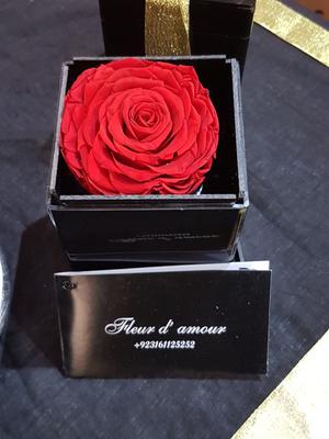 Rose in a box by Fleur D'Amourpk