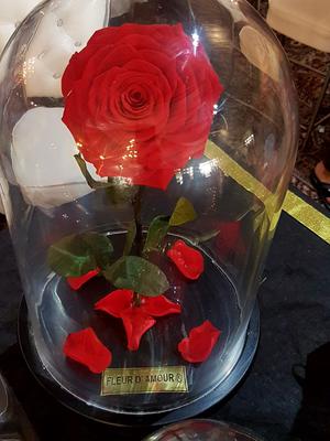 Timeless Rose by Fleur D'Amourpk