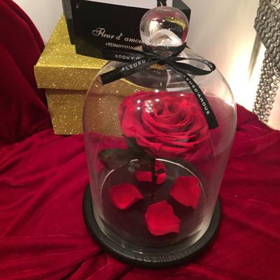 Rose in a Jar by Fleur D'Amourpk