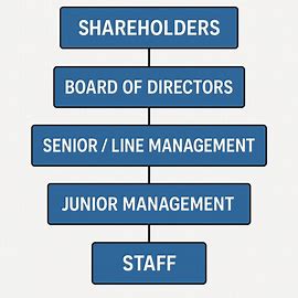 organization-structure-base
