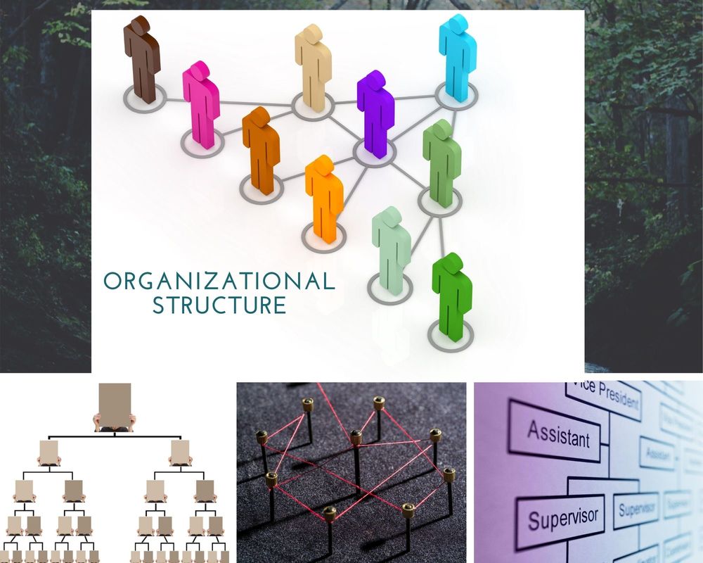 organizational-structure