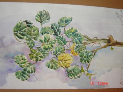 leaves painted in water color