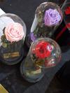 Roses in Jars by Fleur D'Amourpk
