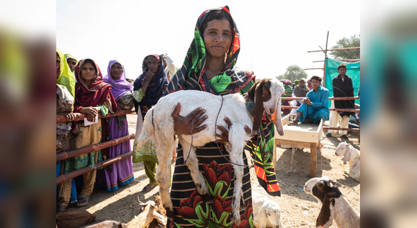 women-in-rural-pakistan-1_600x328