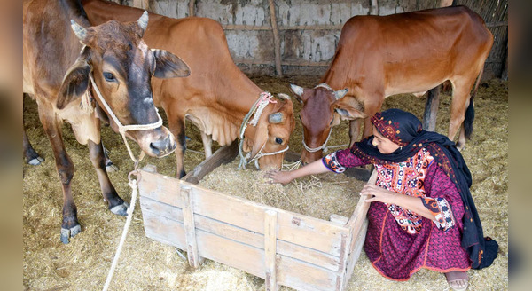 women-in-rural-pakistan-2_600x328