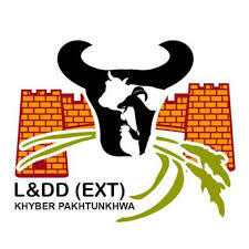 women-in-rural-pakistan-KPK_cropped